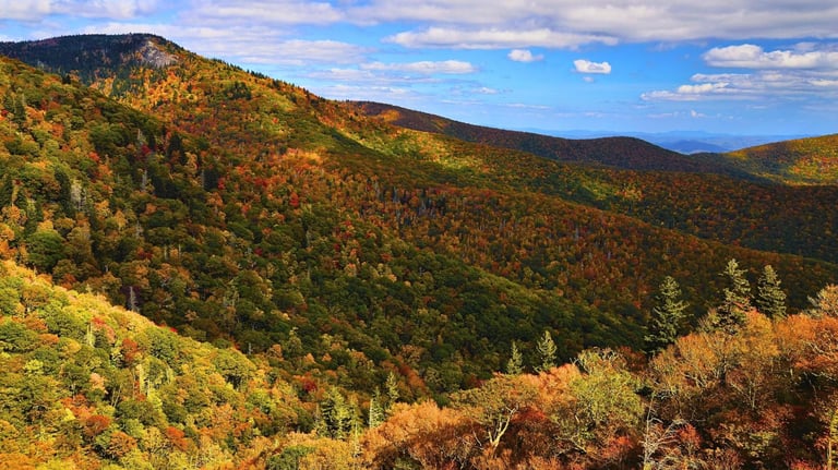 Blue Ridge Parkway