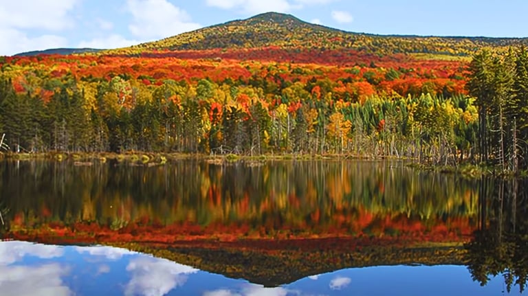 White Mountain National Forest - Fall Foliage