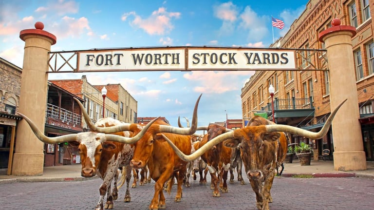 Fortworth Signage 