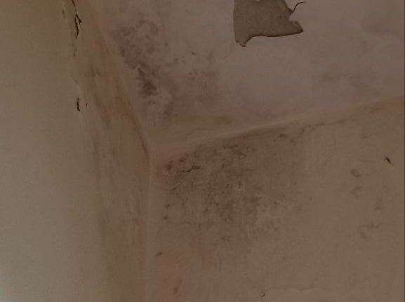wall dampness repair water leakage detection services in Bangalore 