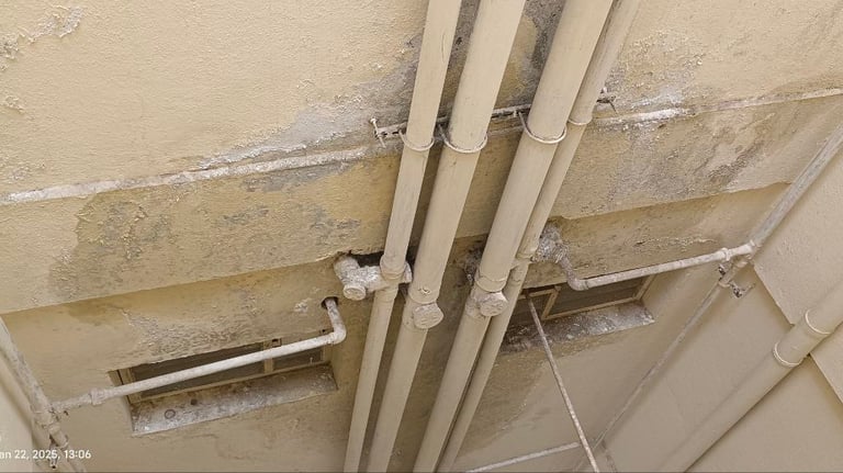 water leakage detection near me plumbing services near me thermal scanning services near me