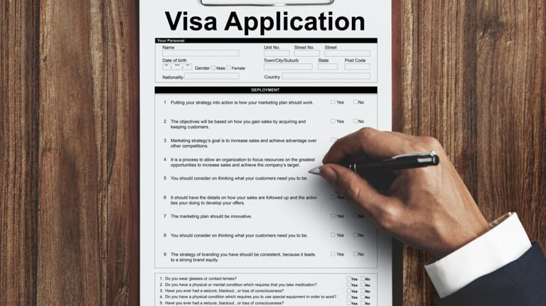 a complete visa application and document review