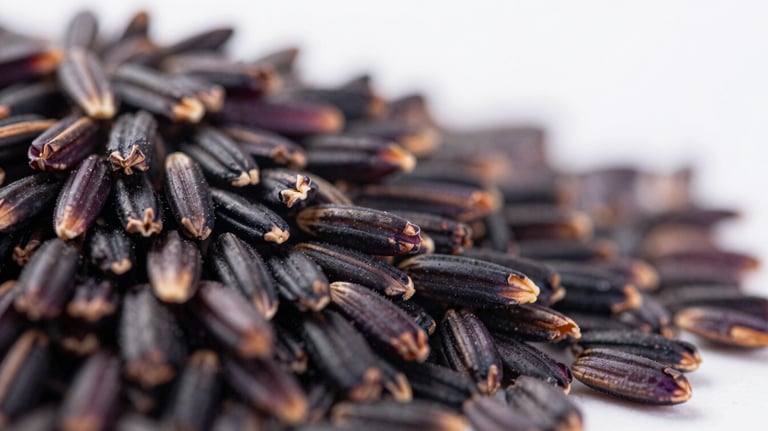 Macro shot of deep purple-black Riceberry grains on a clean surface, high contrast, professional food photography highlighting nutritional texture.