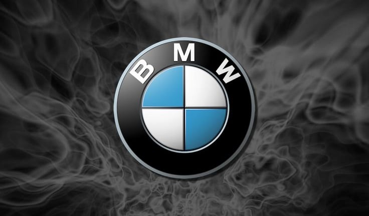 isn bmw cas3 cas1 cas2 cas3+ cas4 fem bdc elv bmw