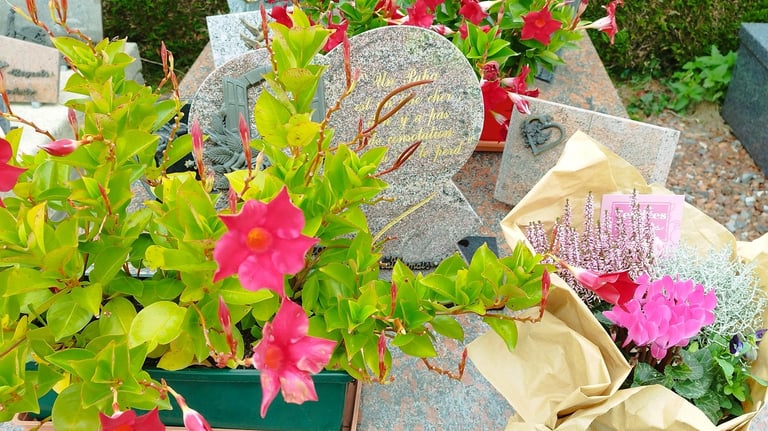 tombe entretenue et refleurie par mes soins 