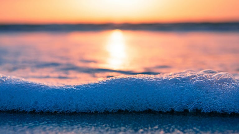  Fort Lauderdale beach