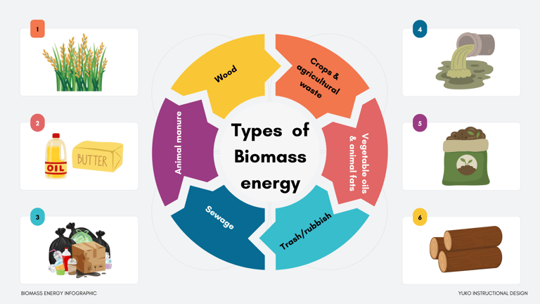 Infographic Types of biomass energy