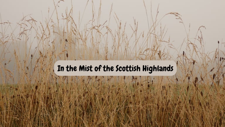 a field with tall grass and a sign that says in the mist