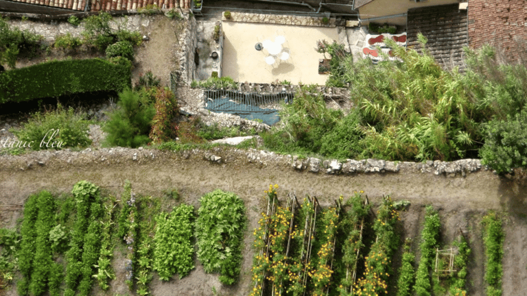 Aerial view of a real life French potager