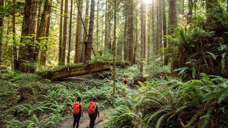 Latino Outdoors Campout