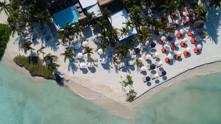 jaguar beach scene