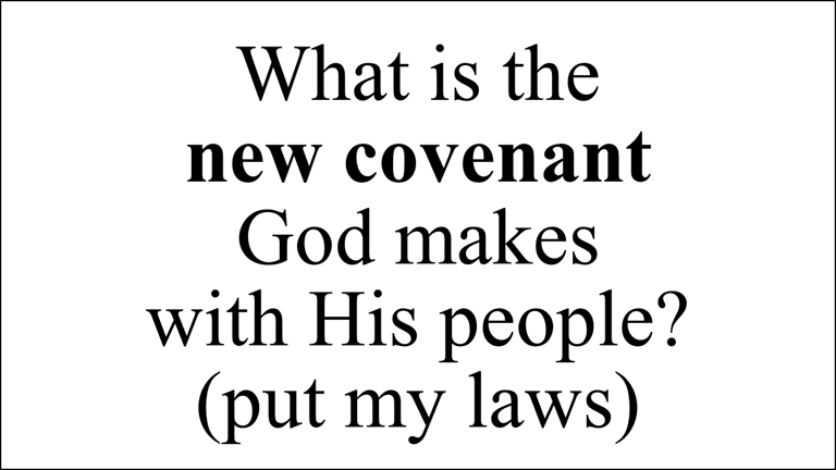 Hebrews 10:16 This is the covenant that I will make with them… will put my laws into their hearts,