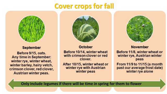 Cover Crops Slide from Pam Dawling