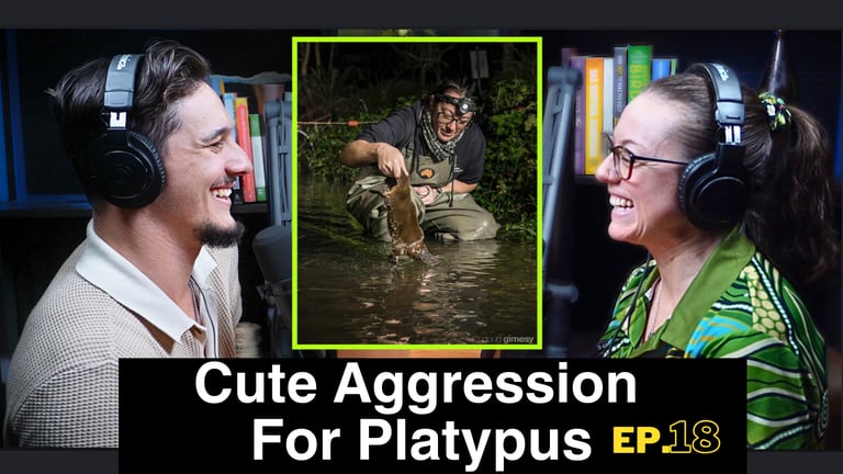 a man and woman in headphones with a picture of a man in headphones