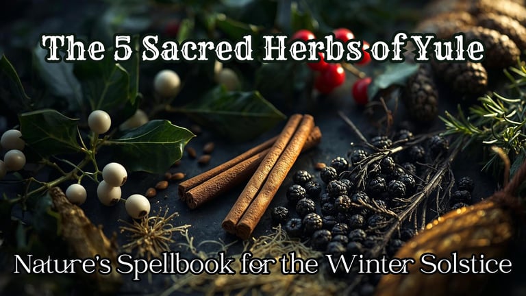 The 5 Sacred Herbs of Yule