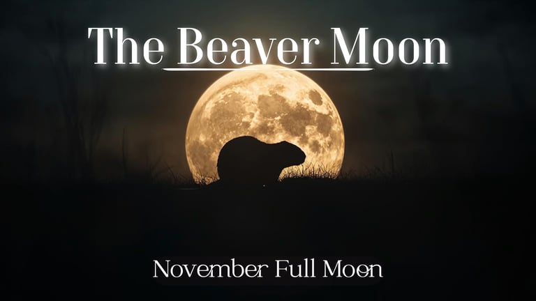 The Beaver Moon (November’s Full Moon)