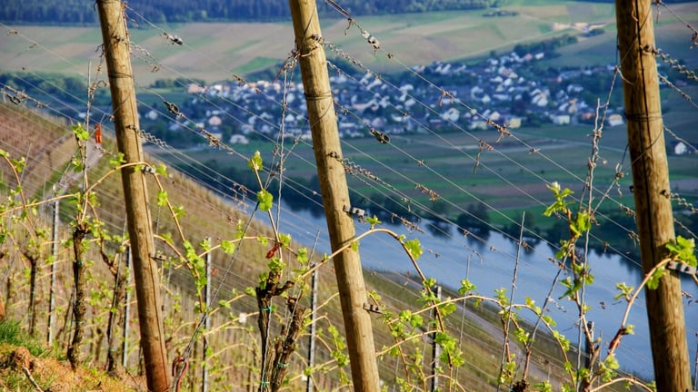 Our history on the Moselle Valley