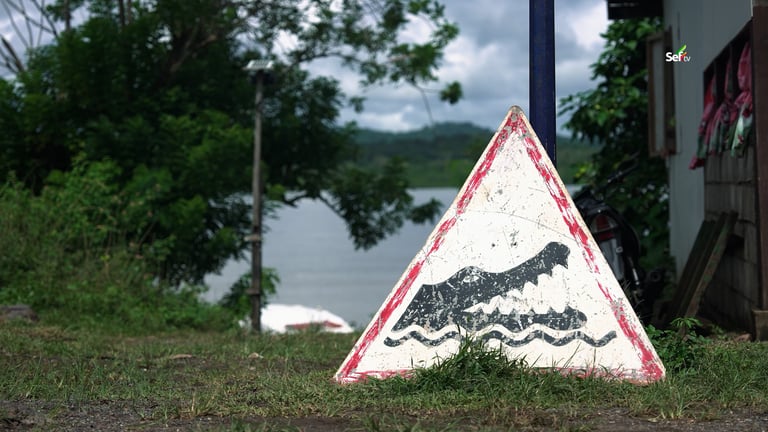 Balabac Crocodile Warnings