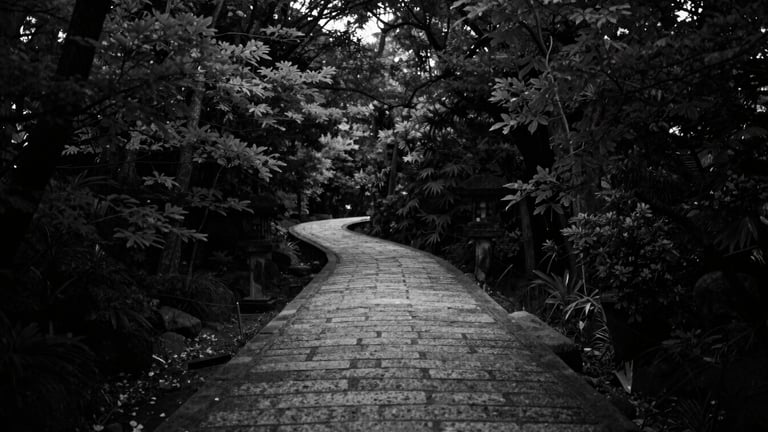 Wide panoramic black and white photograph of a stone path winding through a dense, shadowy Kyoto forest, soft natural light filtering through leaves, minimalist composition, deep shadows, 35mm film grain