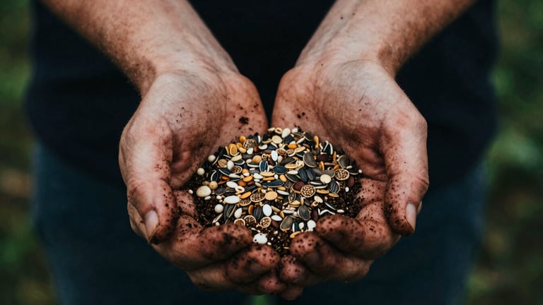 Close-up of soil-stained hands gently holding a small handful of diverse heirloom seeds, natural high-contrast side-lighting, rich textures, 35mm film.