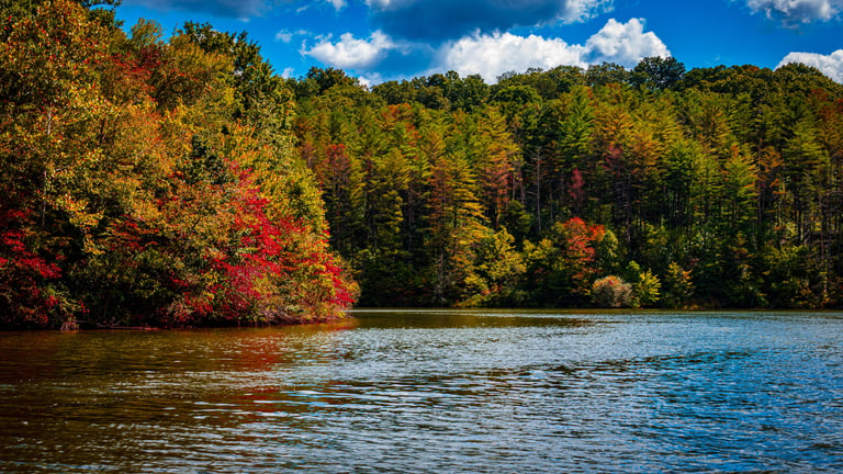 Scenic autumn lake surrounded by a dense forest with vibrant red, orange, and yellow fall foliage. 