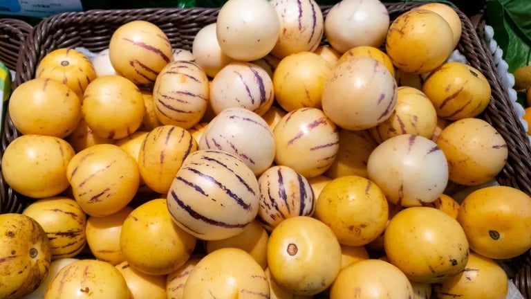 Solanum Muricatum Ripening Room