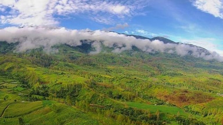 Taman Nasional Gunung Leuser (sebagian di Aceh)