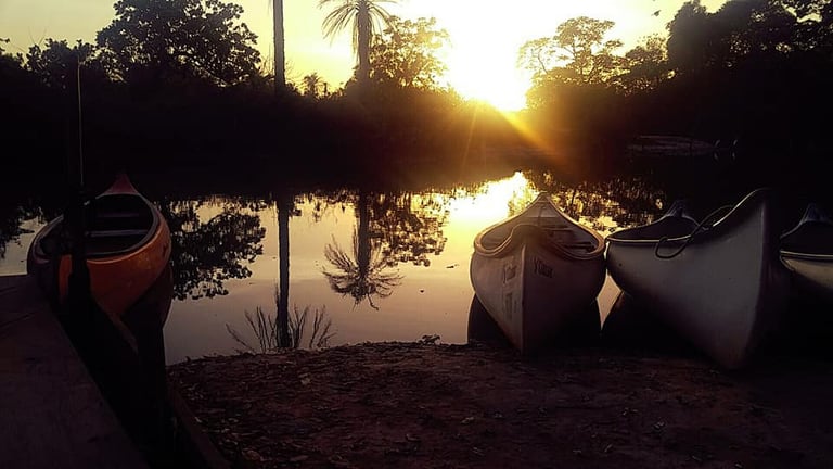 A tranquil image of Marakissa River Camp, nestled along the banks of a calm river surrounded by lush