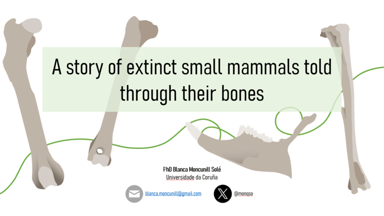 Pesentation of the talk "A story of extinct small mammals told through their bones"