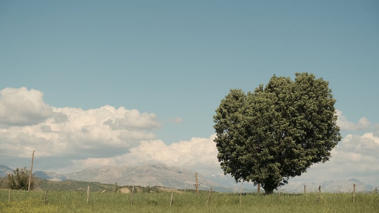 Documentaire Lost Tapes