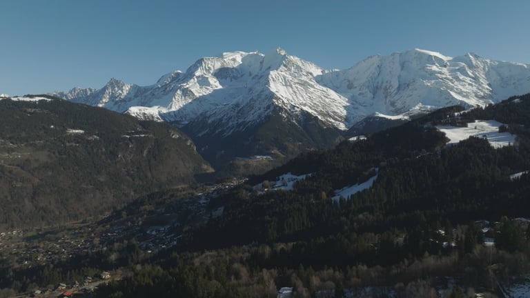 Mariage Margaux & Timothy