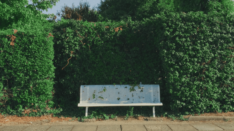 Documentaire Le Magasin