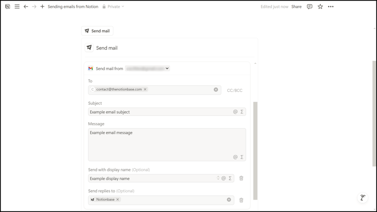 Notion Email Details