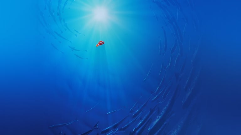 Finding Nemo
