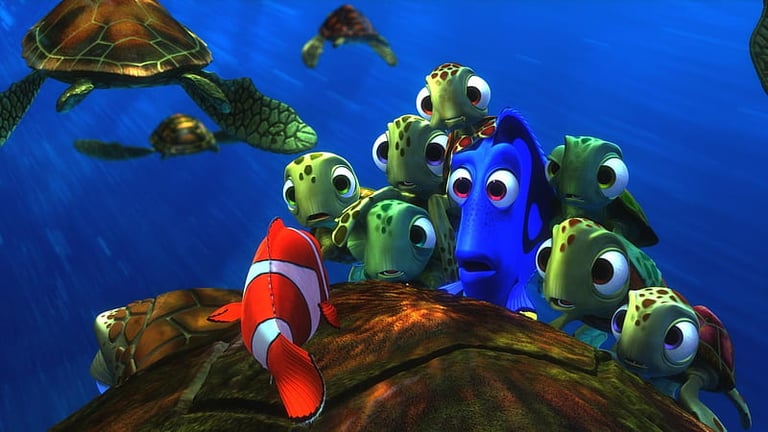 tartarugas nemo