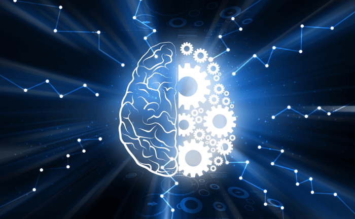 Fonctionnement du cerveau et schémas inconscients grâce au DNR