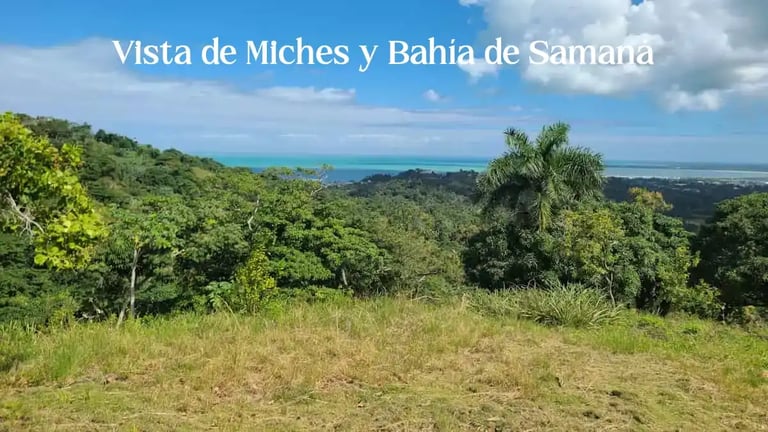Vista hacia Miches desde lote B