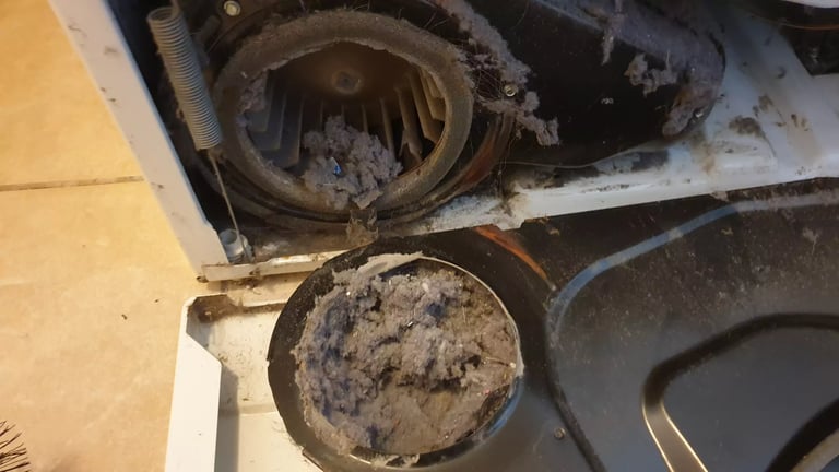 cleaning out lint inside dryer in Estero