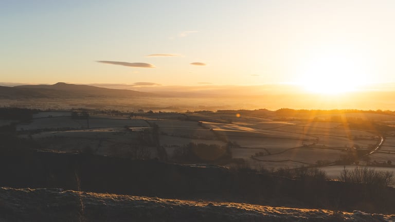 a contrasty and frosty lanscape being illuminated by a golden sunrise