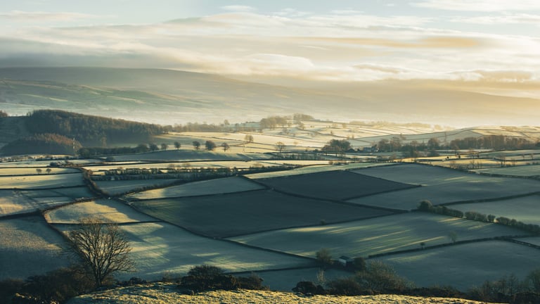 frosty countryside fields being illuminated by warm morning sun