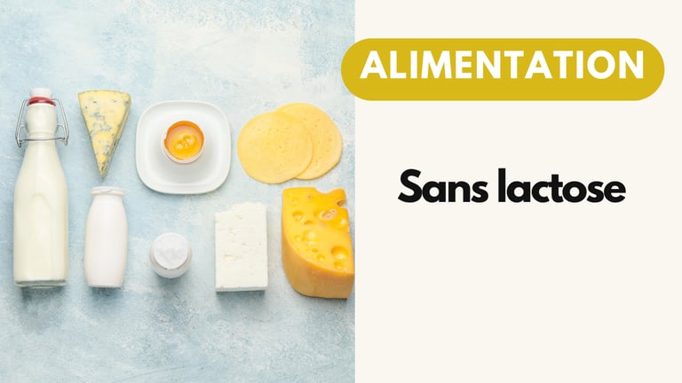 Alimentation sans lactose