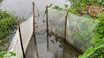 small water area with bamboo supports and net. 