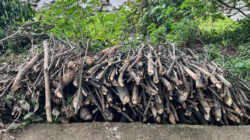 Large pile of chopped branches, stacked neatly, ready to use for firewood.