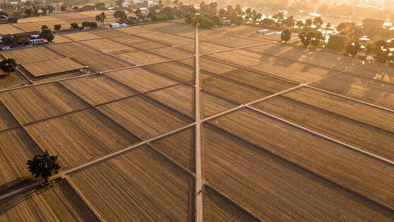 High-altitude cinematic drone photograph of structured land plots in Goverdhan, clear boundary lines laid out, warm golden hour light casting long shadows, Yamuna region