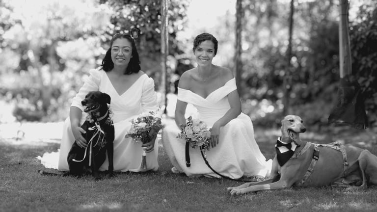 Madrid wedding photographer