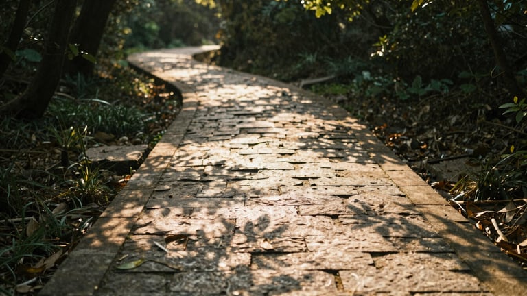 A winding stone path through an ancient forest in soft morning light, dappled shadows, shallow depth of field, warm editorial photography.