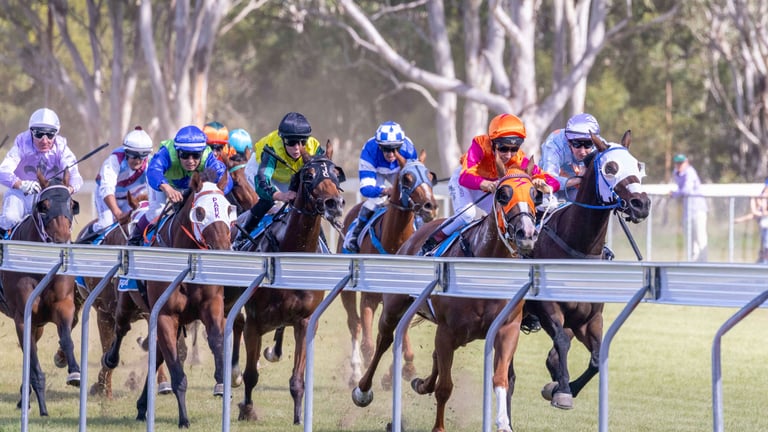 Horses Racing