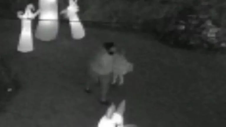 Security camera catches Halloween theft at night.