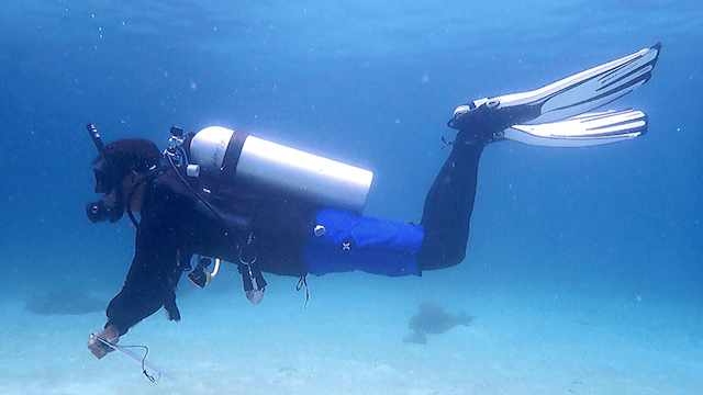 Jon-Jon Suarez Course Director PADI
