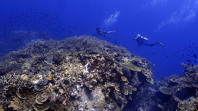 Scuba diver at Tioman Island